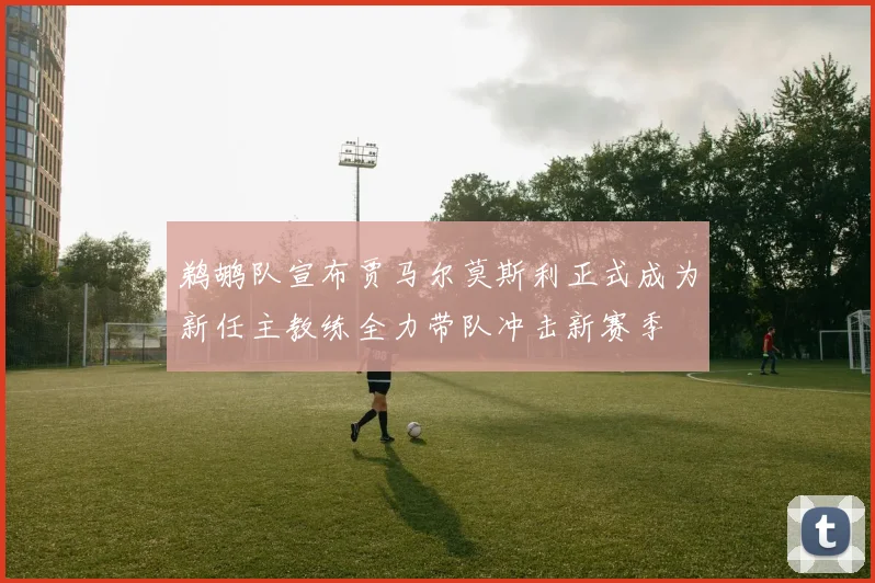鹈鹕队宣布贾马尔莫斯利正式成为新任主教练全力带队冲击新赛季